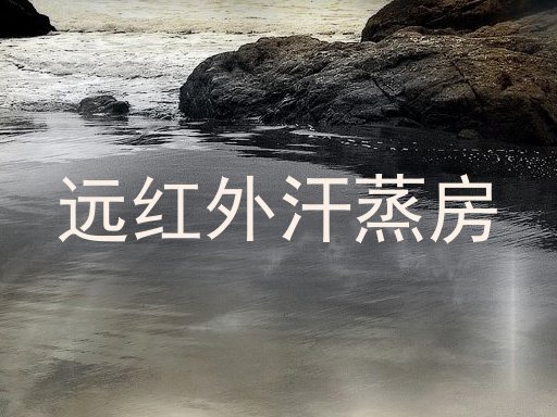 远红外汗蒸房