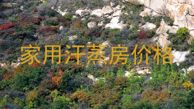 家用汗蒸房价格