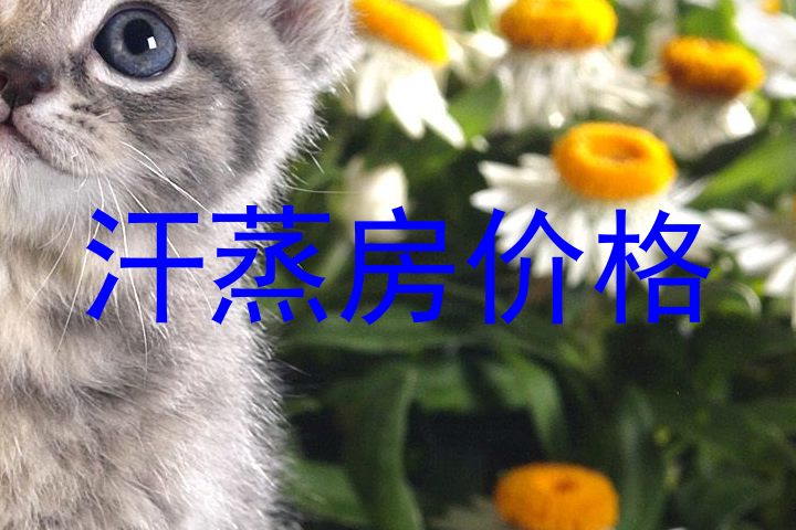 汗蒸房价格