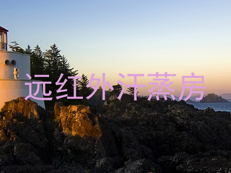 远红外汗蒸房