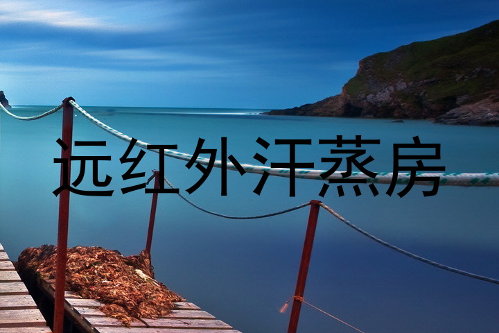 远红外汗蒸房
