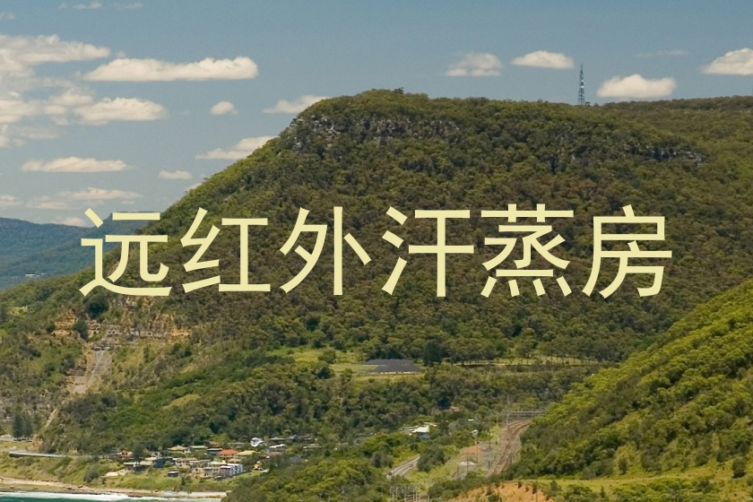 远红外汗蒸房