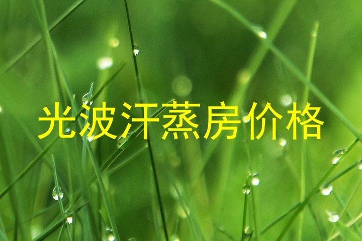 光波汗蒸房价格