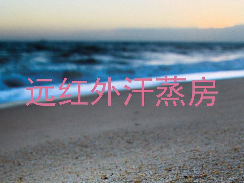 远红外汗蒸房