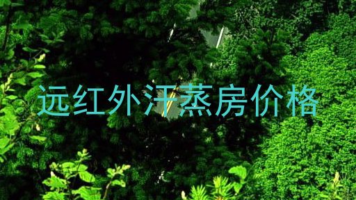 远红外汗蒸房价格