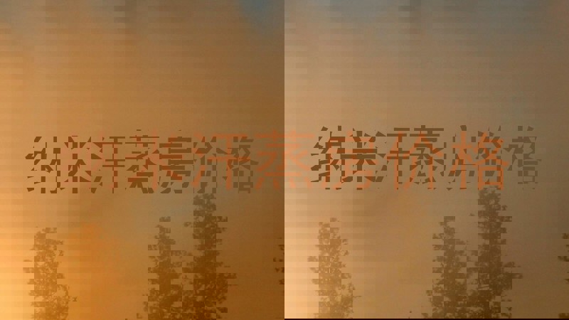 纳米汗蒸房价格