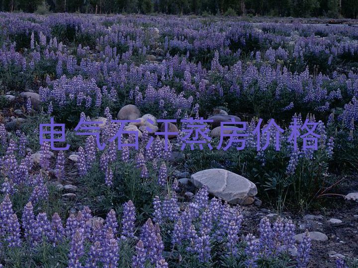 电气石汗蒸房价格
