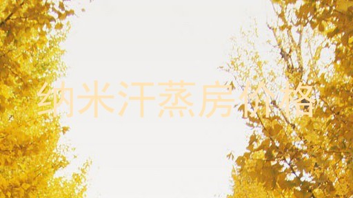 纳米汗蒸房价格