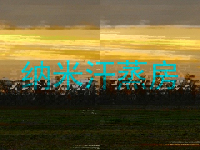 纳米汗蒸房