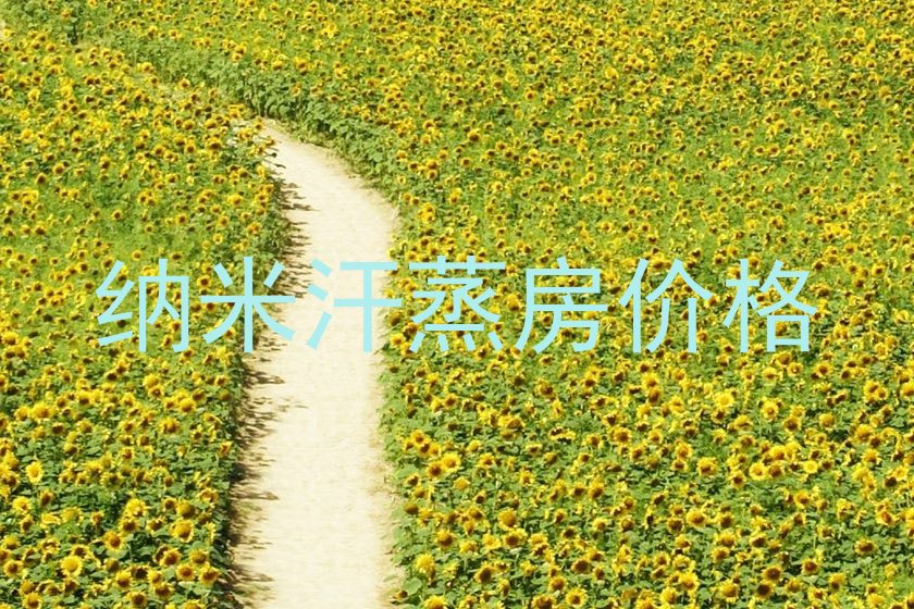 纳米汗蒸房价格