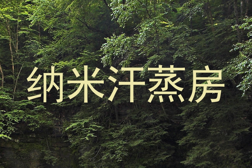 纳米汗蒸房