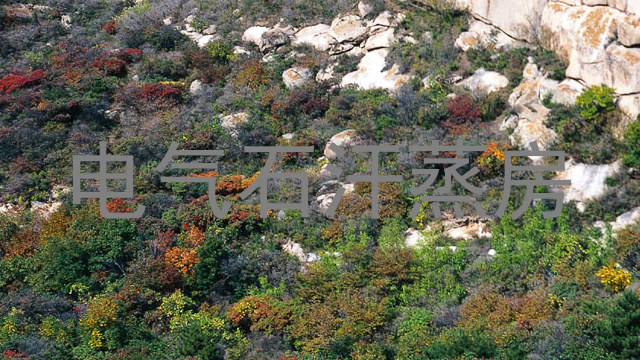 电气石汗蒸房