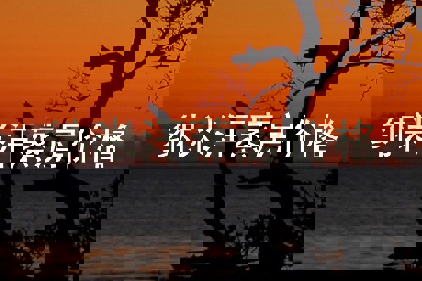 纳米汗蒸房价格