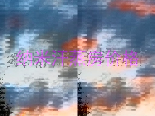 纳米汗蒸房价格