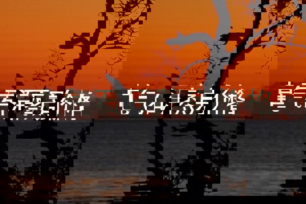 电气石汗蒸房价格