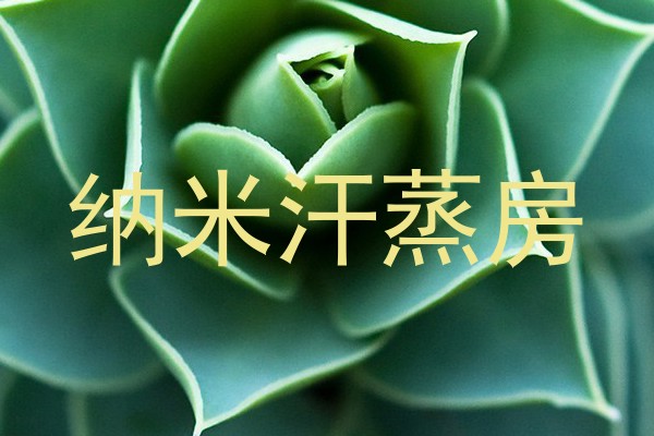 纳米汗蒸房