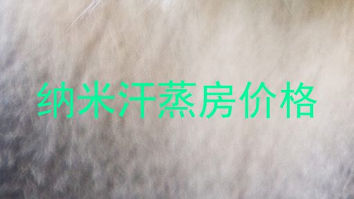 纳米汗蒸房价格