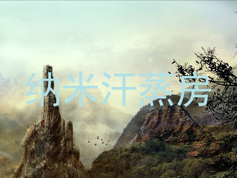 纳米汗蒸房