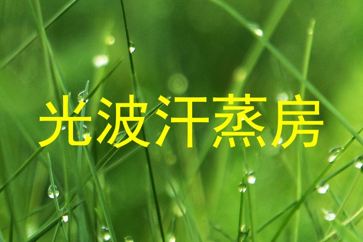 光波汗蒸房