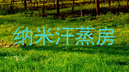 纳米汗蒸房