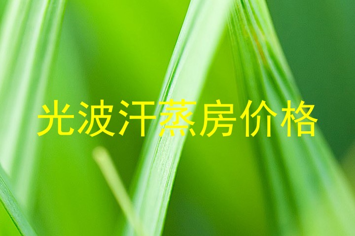 光波汗蒸房价格