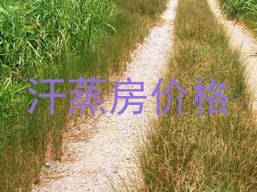 汗蒸房价格