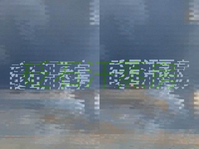 砭石汗蒸房