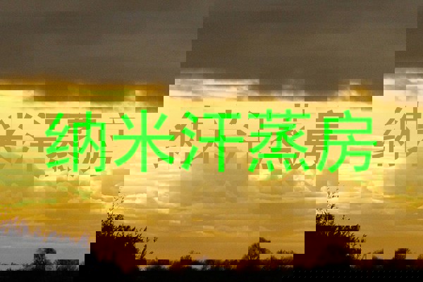 纳米汗蒸房