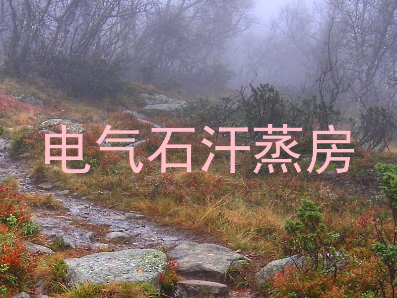 电气石汗蒸房