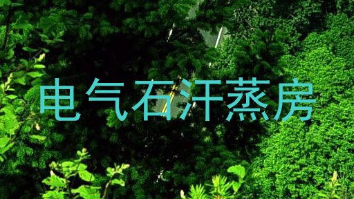 电气石汗蒸房
