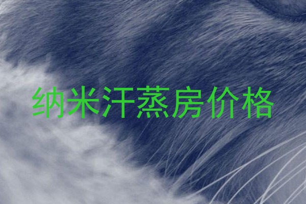 纳米汗蒸房价格