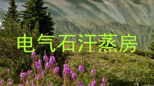 电气石汗蒸房