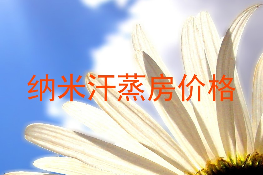 纳米汗蒸房价格