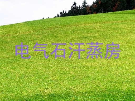 电气石汗蒸房