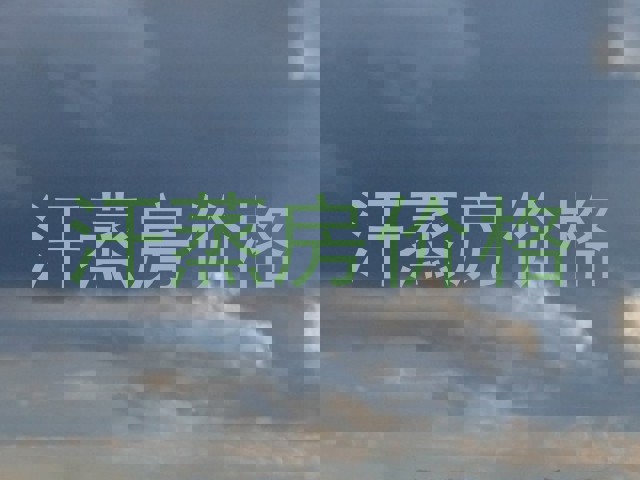 汗蒸房价格