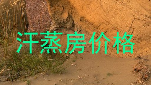 汗蒸房价格