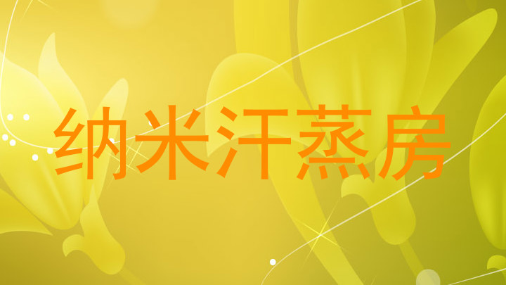 纳米汗蒸房