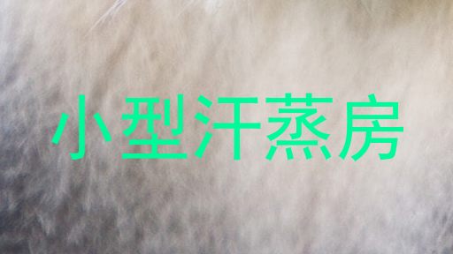 小型汗蒸房