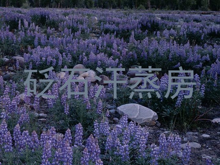 砭石汗蒸房