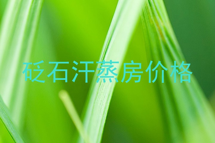 砭石汗蒸房价格