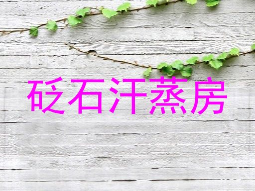 砭石汗蒸房
