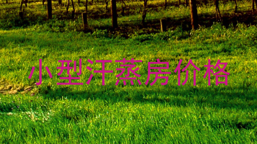 小型汗蒸房价格