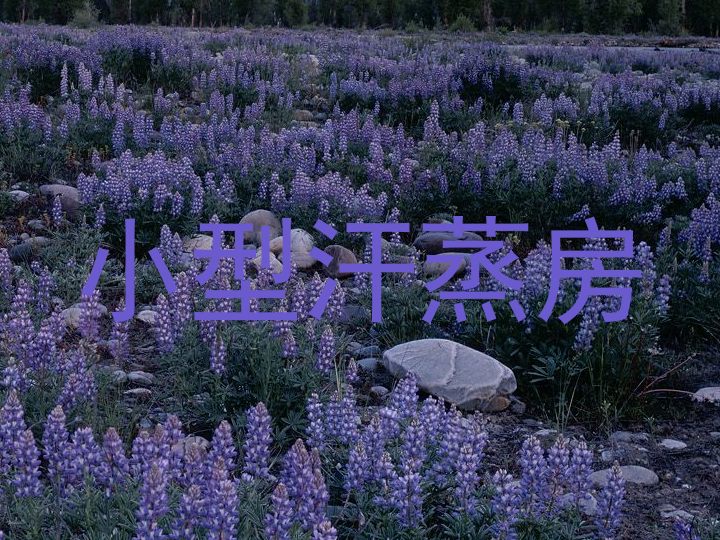 小型汗蒸房