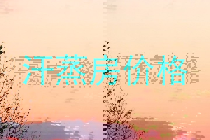 汗蒸房价格