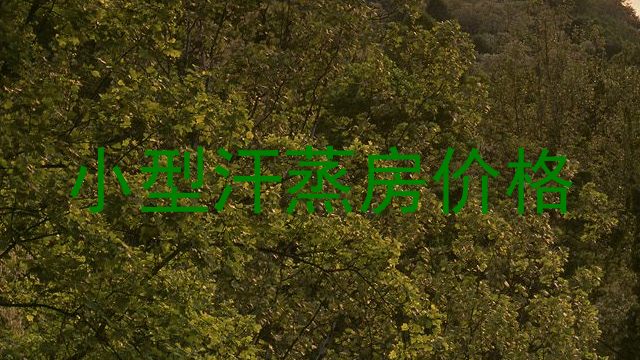 小型汗蒸房价格