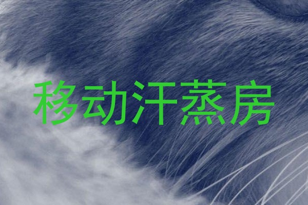 移动汗蒸房