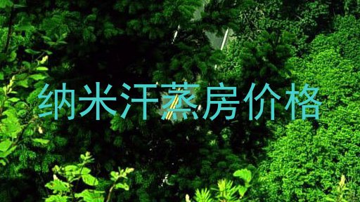 纳米汗蒸房价格