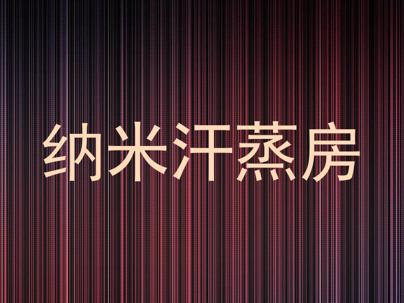 纳米汗蒸房