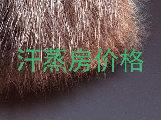 汗蒸房价格