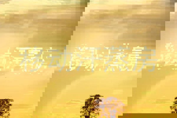 移动汗蒸房